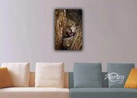 Don't You Mess with Me