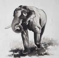 Gentle Giant