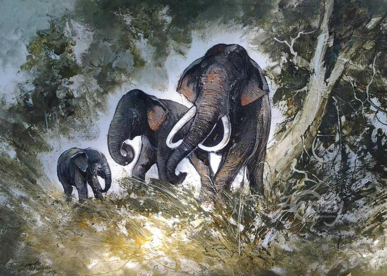 Elephants in the Wild