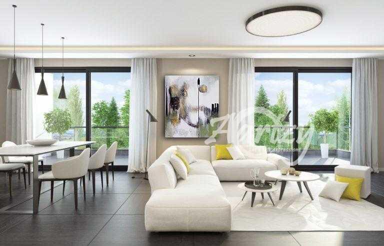 Puddles in the Cobblestone