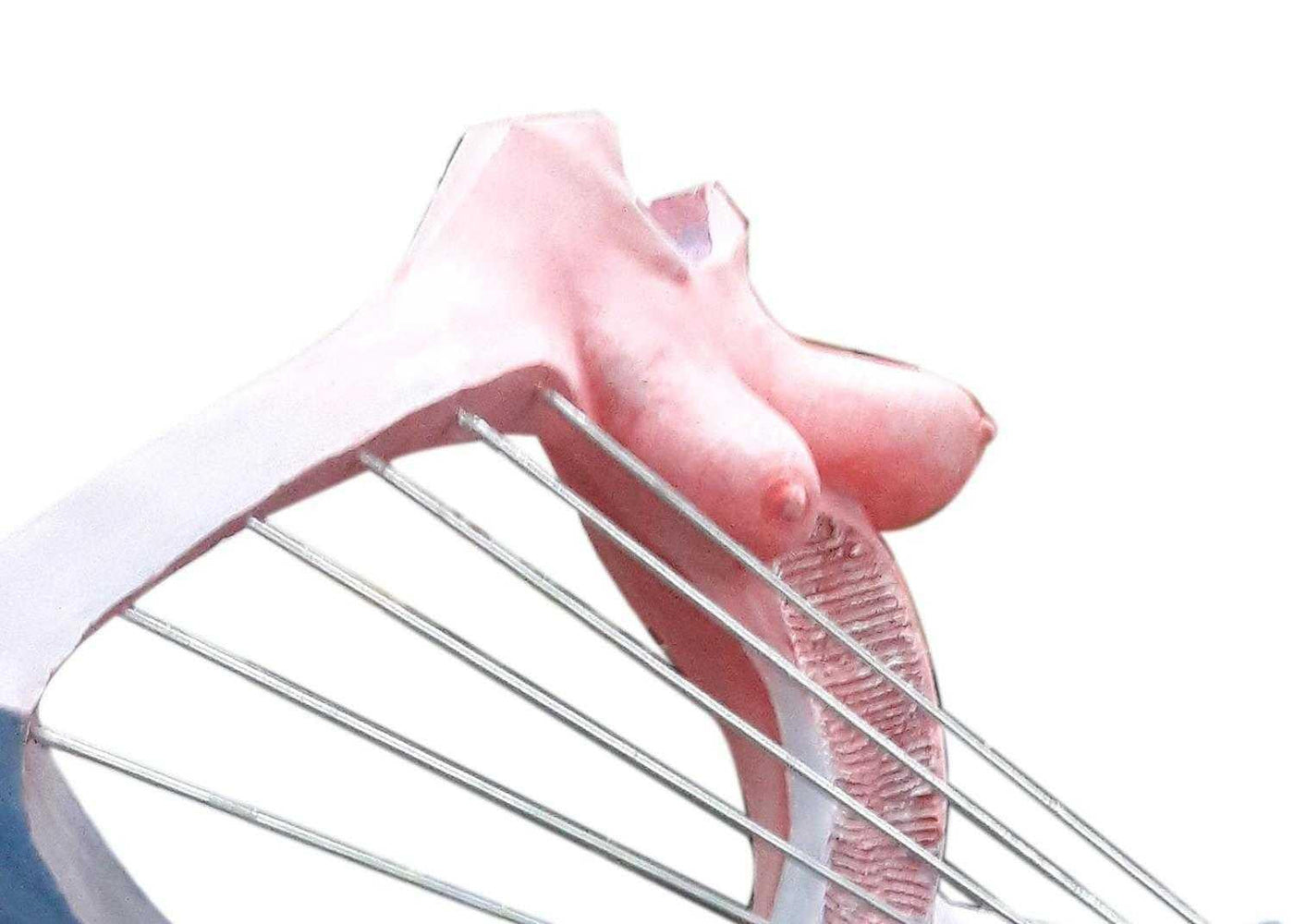 The Intertwined Love