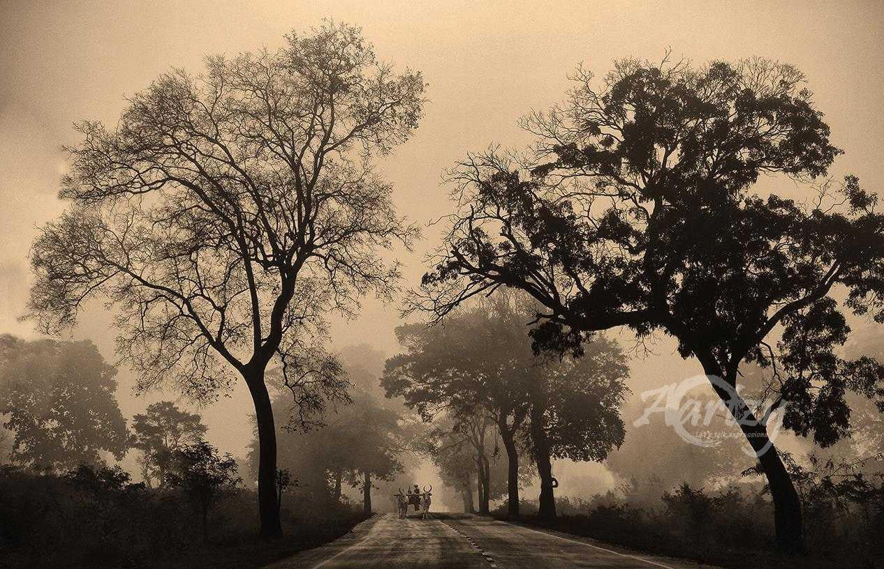 Returning Home at Dusk