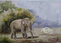Graceful Giant