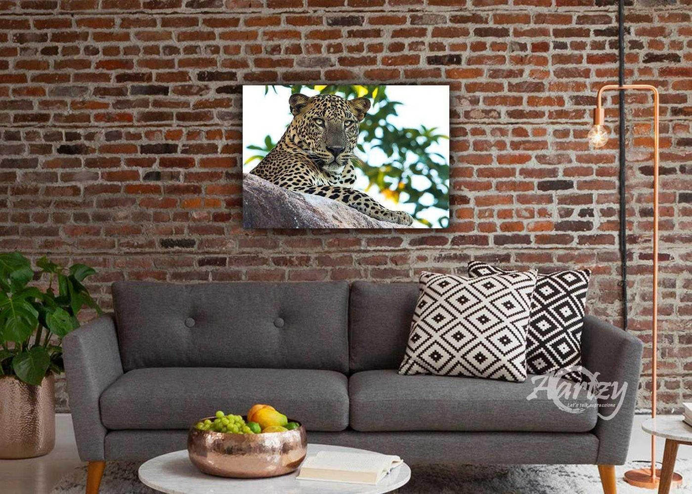 Leopard Who Doesn't Care