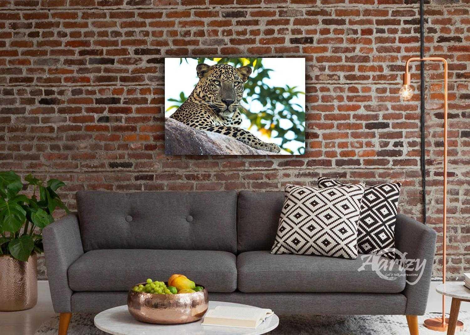 Leopard Who Doesn't Care