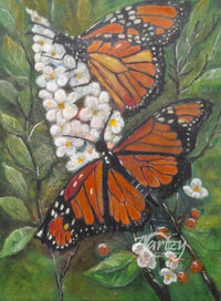 Monarch Butterflies