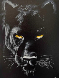 Shadow's Gaze