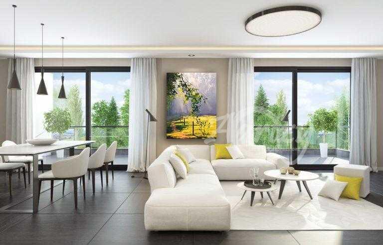 Morning in the Meadow