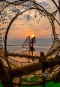 A Pose for the Camera!