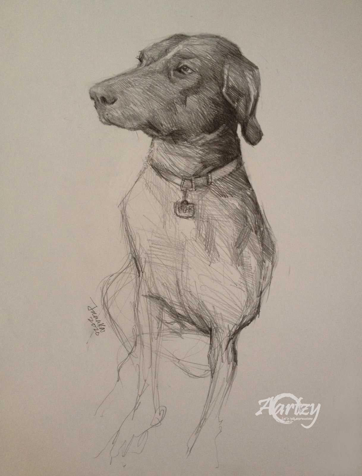 Graphite Pup