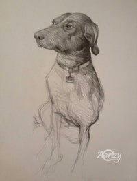 Graphite Pup