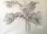 The Palm