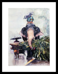 Monsoon Companions