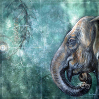 Profile in the Forest