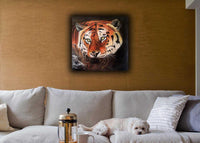 Eyes of the Tiger