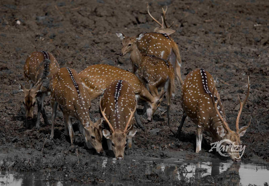 Watching out for Each Other