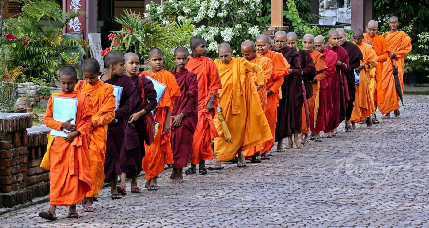 Disciplined Procession