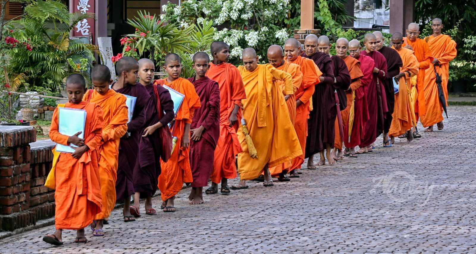 Disciplined Procession