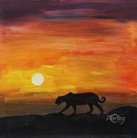 Lone Leopard