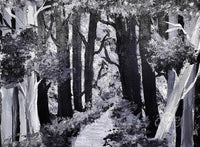 Pathway through the Forest