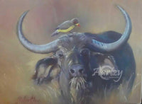 Symbiotic Companions