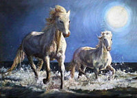 Moonlight Walks