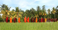 Crossing the Green Fields