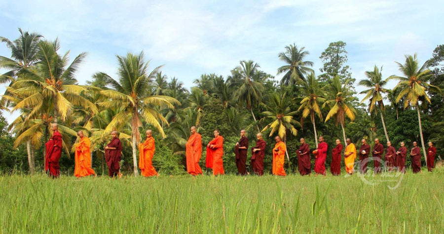 Crossing the Green Fields