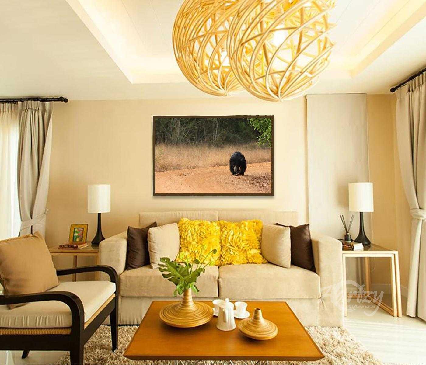 The Bear Necessities