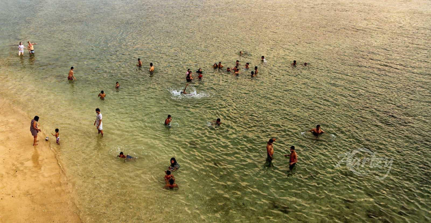 Nothing but Fun and Frolic