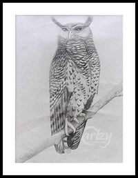 Regal Owl