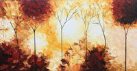 Forest Fires