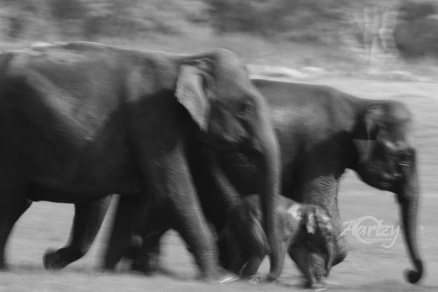 Protect the Young Ones