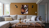 Eye of the Tiger