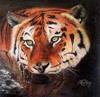 Eyes of the Tiger
