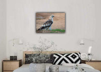 Bird of Prey