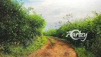 Road to Unknown