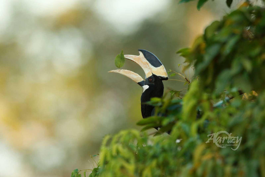 A Little Different and In-Sync