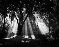 Light unto My Path
