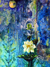Midnight Blossom