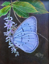 True Blue