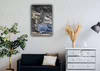 What You Looking At?