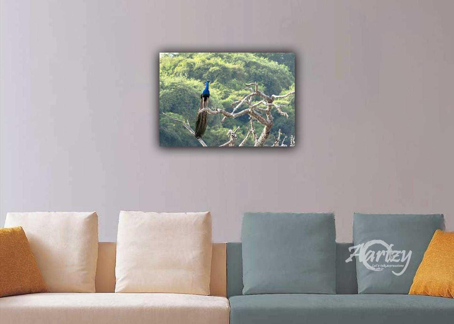 The Quintessetial Bird of the Jungle