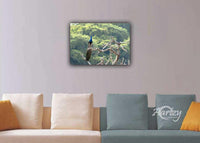 The Quintessetial Bird of the Jungle