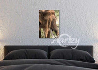 Rising from the Dust