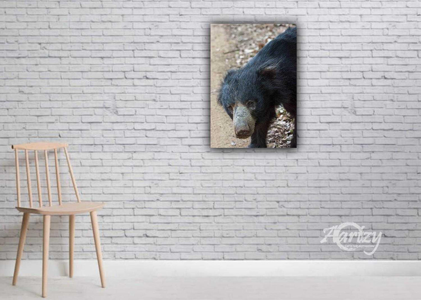 Sloth Bears of Sri Lanka