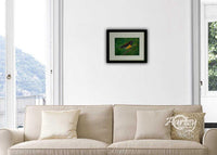 Feathered Serenity