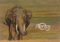 Along Came an Elephant