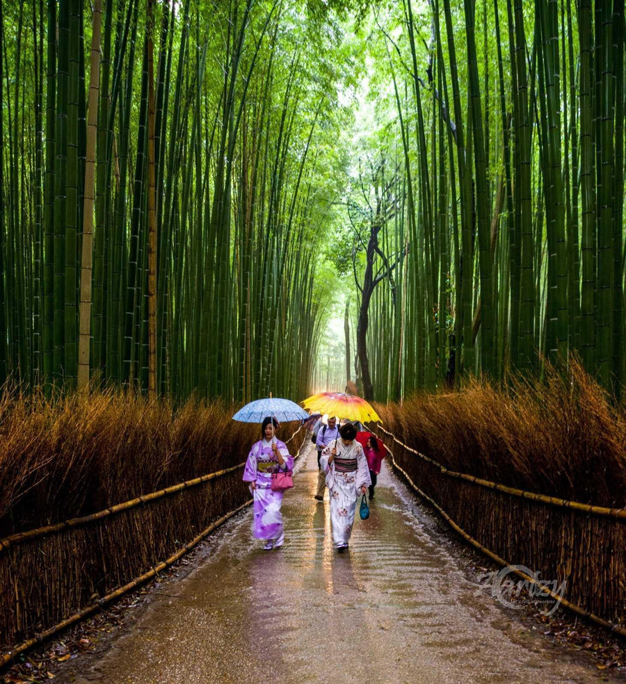 Under Nature's Umbrella