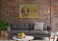 Along Came an Elephant